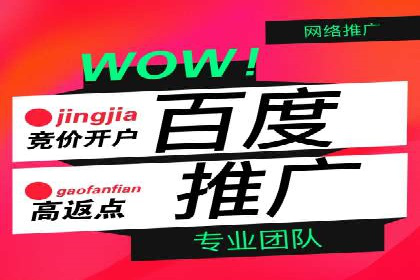 谷歌竞价广告与SEO结合的营销案例解析
